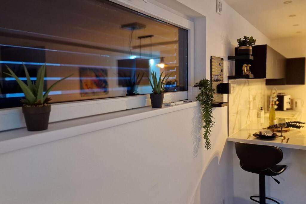 Suite Prestige Logement Neuf Avec Spa Et Ecran De Cinema En Rez De Jardin Colmar Extérieur photo
