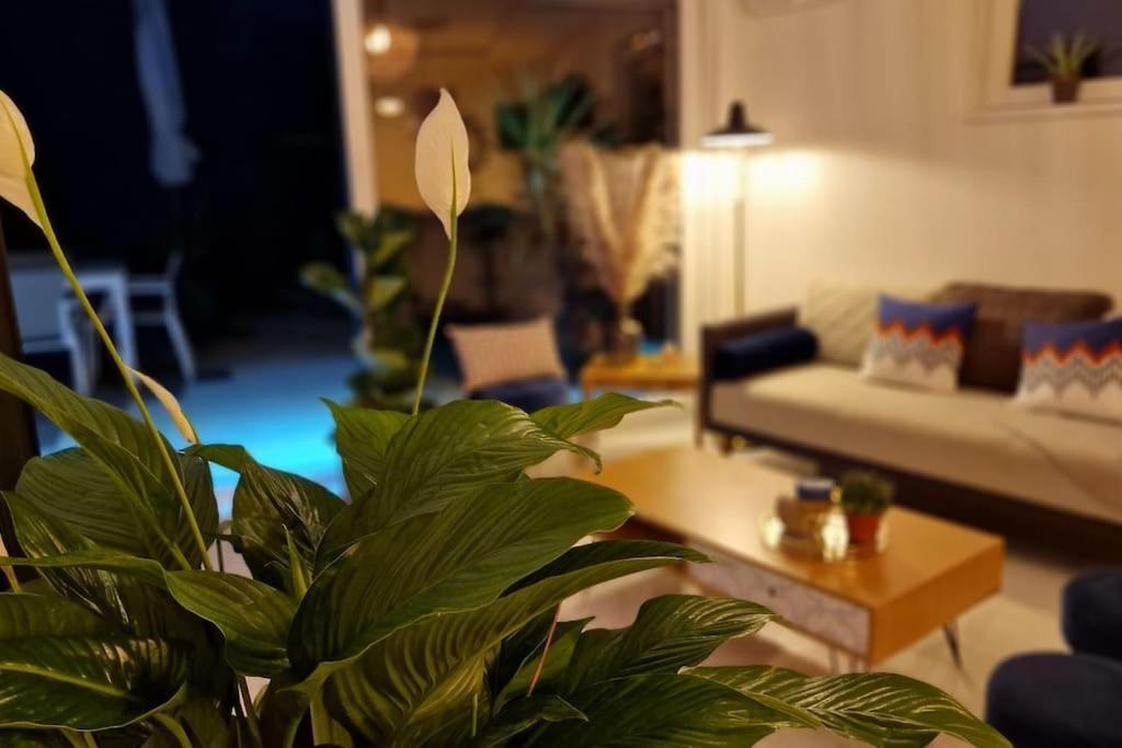Suite Prestige Logement Neuf Avec Spa Et Ecran De Cinema En Rez De Jardin Colmar Extérieur photo