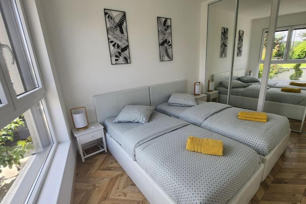 Suite Prestige Logement Neuf Avec Spa Et Ecran De Cinema En Rez De Jardin Colmar Extérieur photo