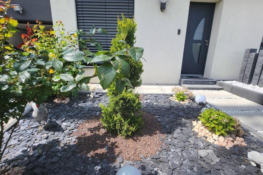 Suite Prestige Logement Neuf Avec Spa Et Ecran De Cinema En Rez De Jardin Colmar Extérieur photo