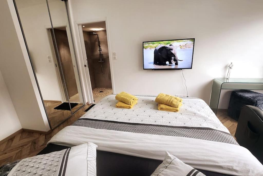 Suite Prestige Logement Neuf Avec Spa Et Ecran De Cinema En Rez De Jardin Colmar Extérieur photo