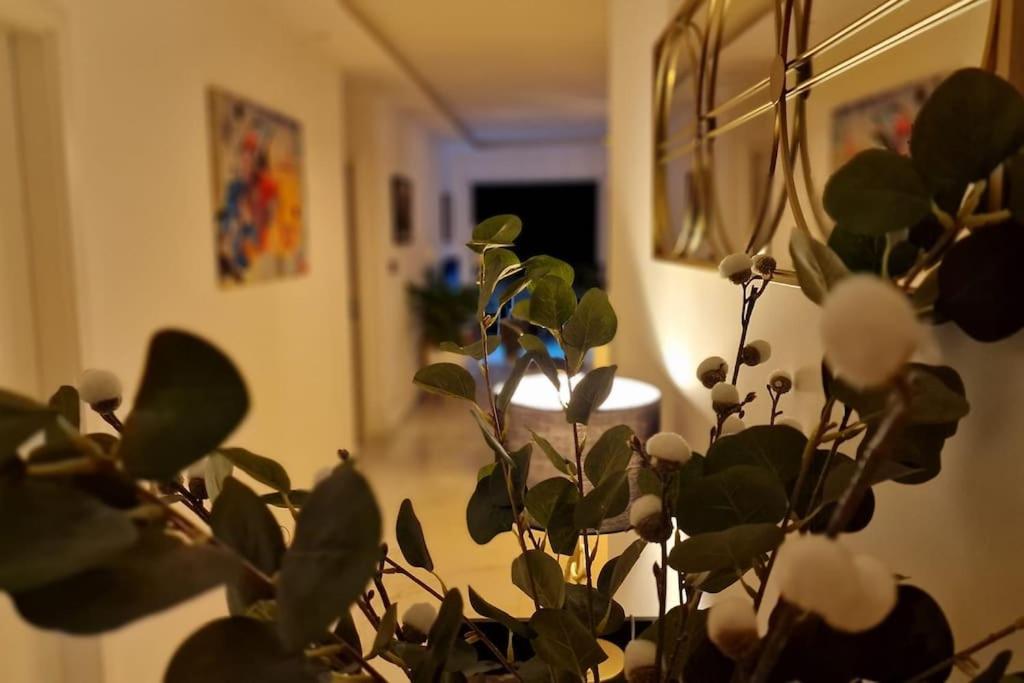 Suite Prestige Logement Neuf Avec Spa Et Ecran De Cinema En Rez De Jardin Colmar Extérieur photo