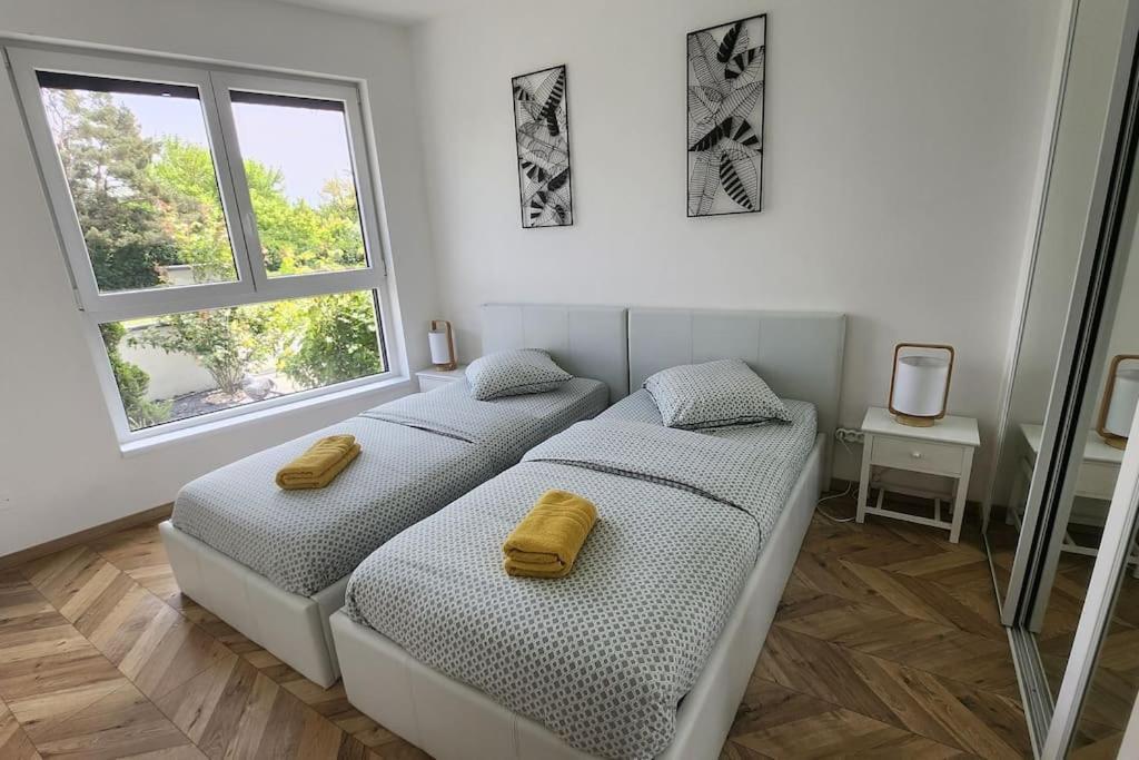Suite Prestige Logement Neuf Avec Spa Et Ecran De Cinema En Rez De Jardin Colmar Extérieur photo